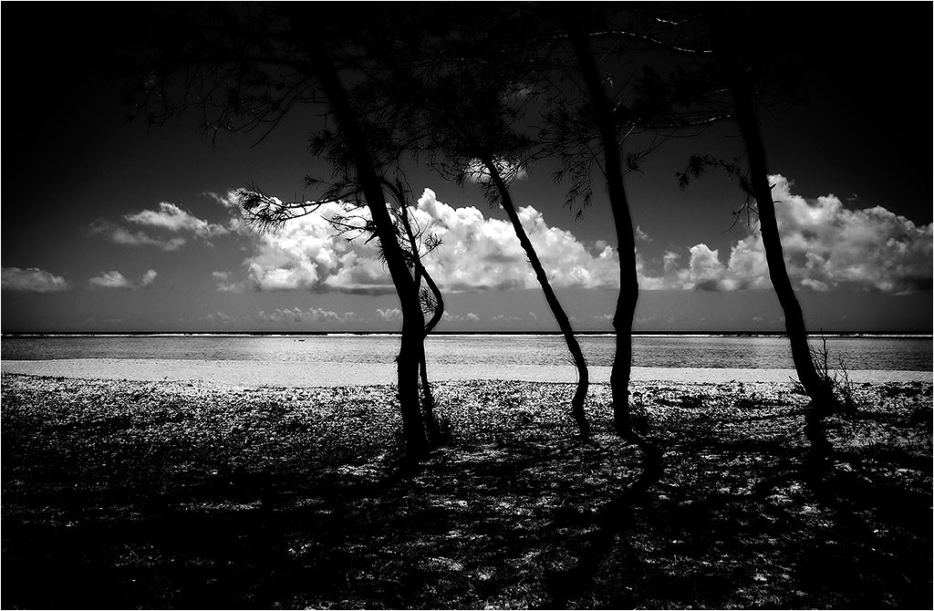 Rodrigues