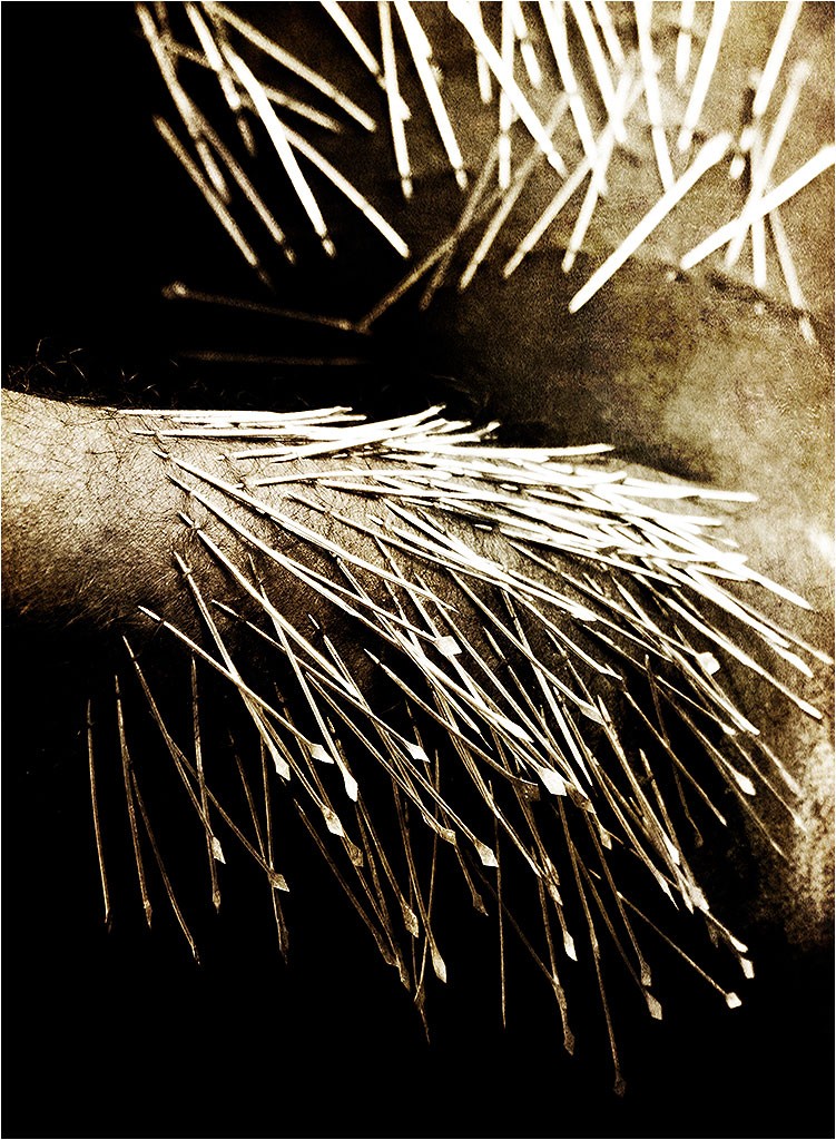 Exposition "Rituel"