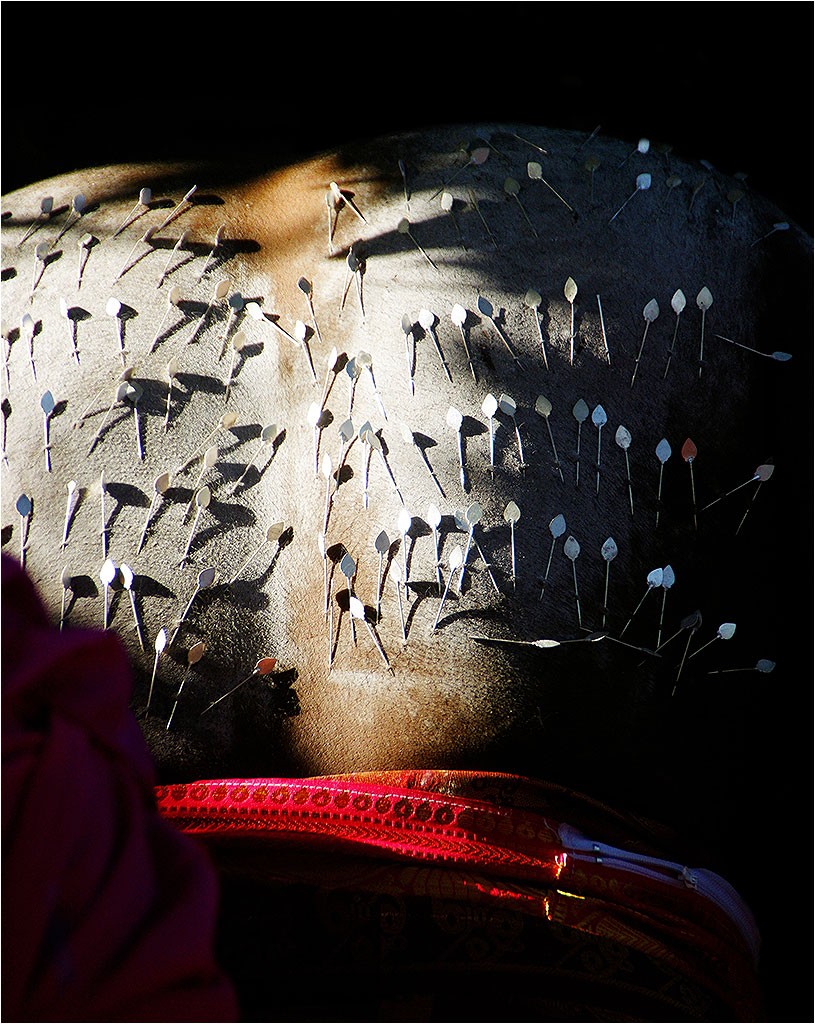 Kavadi 2016