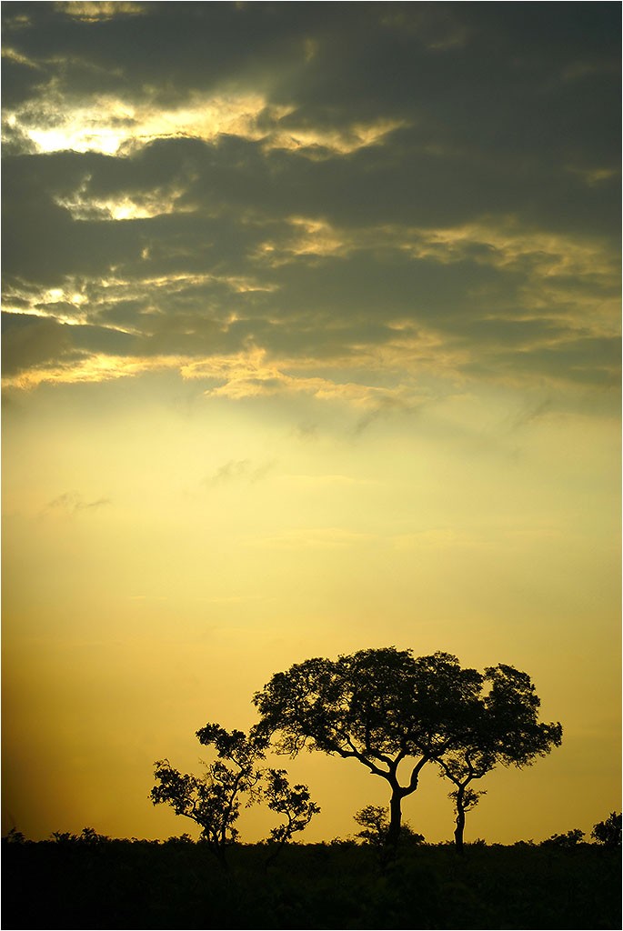 Afrique du Sud