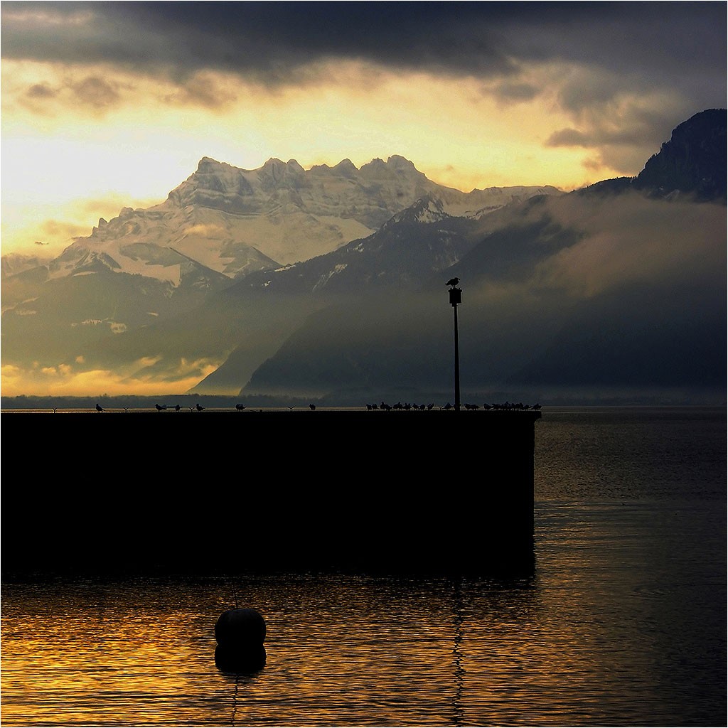 Suisse
