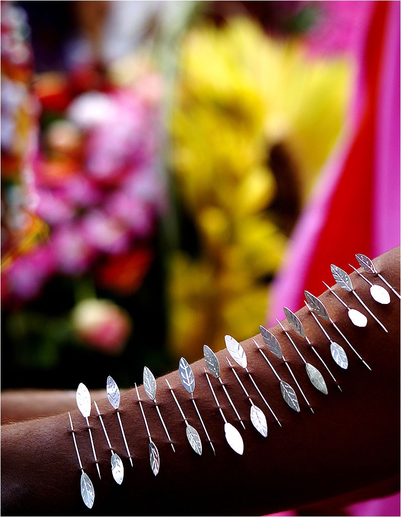 Kavadi 2012