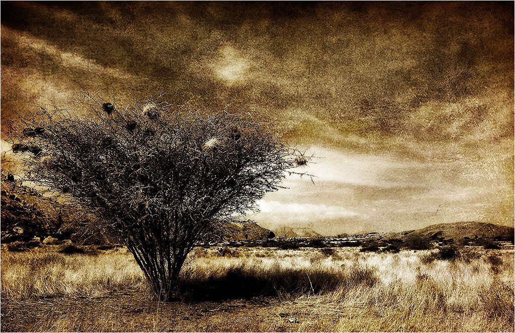 Namibie
