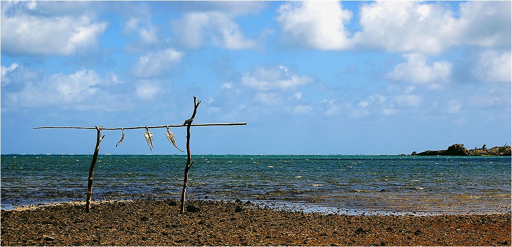 Rodrigues