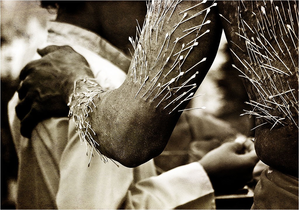 Kavadi 2013