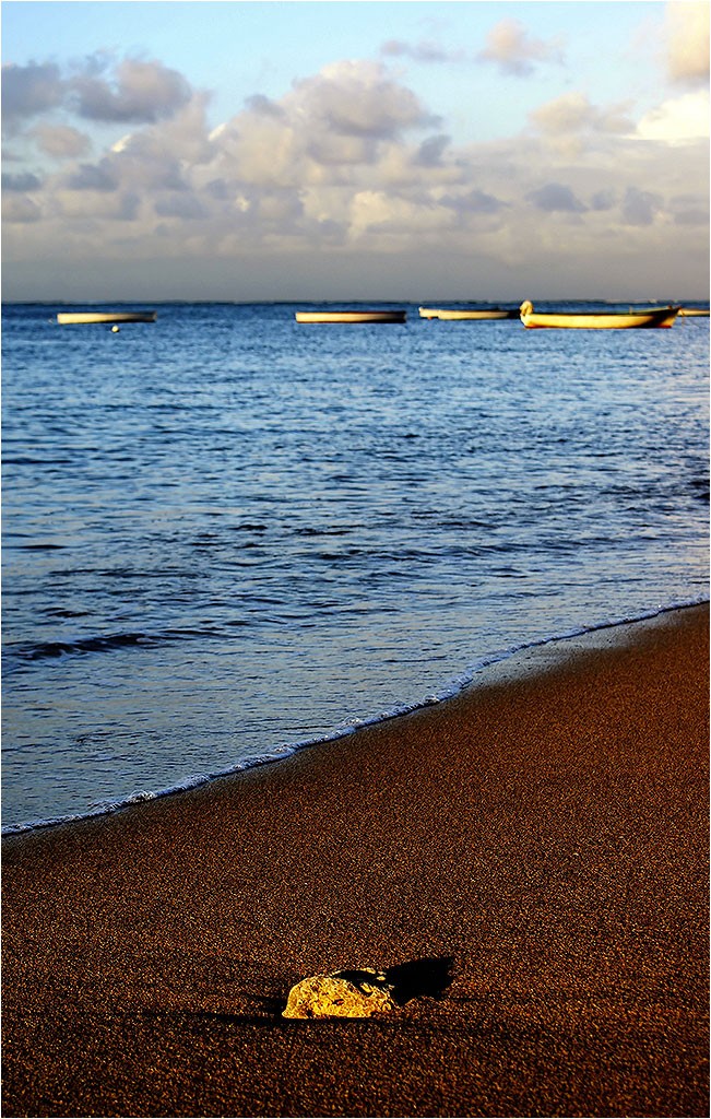Rodrigues