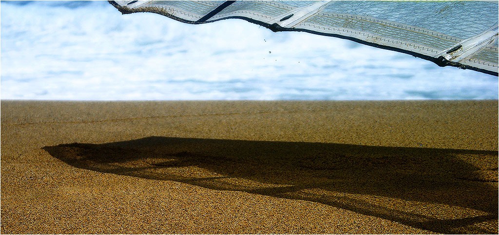 Windsurf