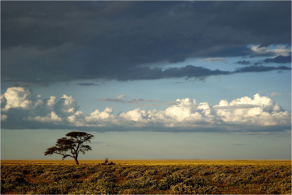 Namibie