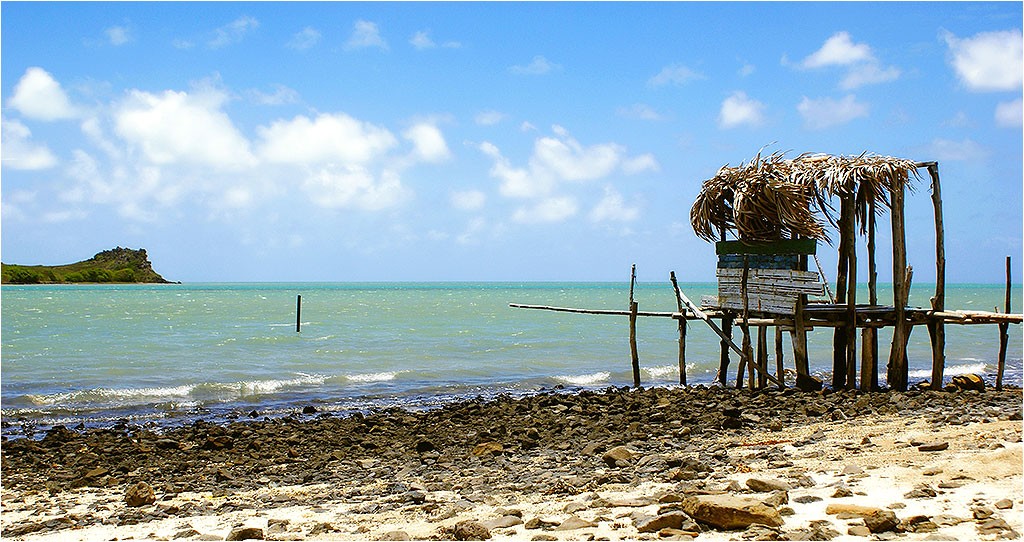 Rodrigues