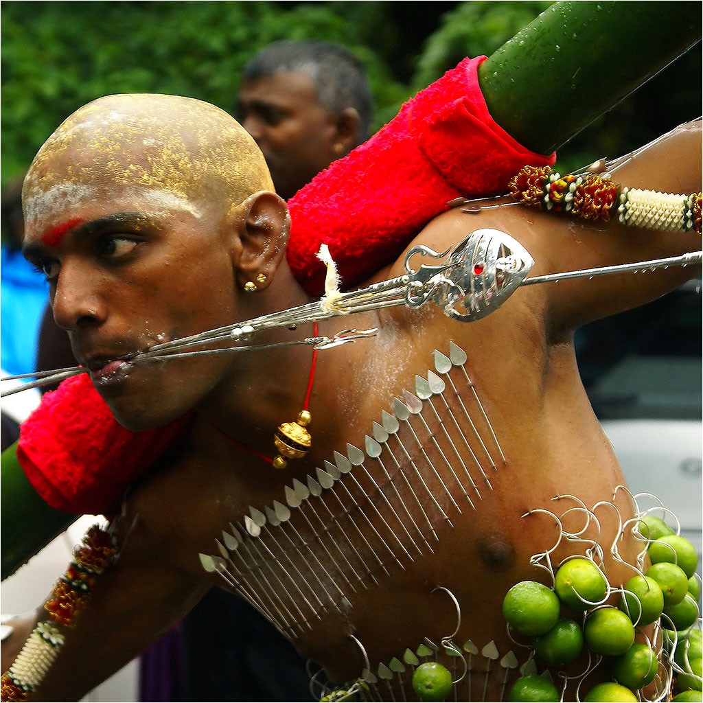 Kavadi 2011