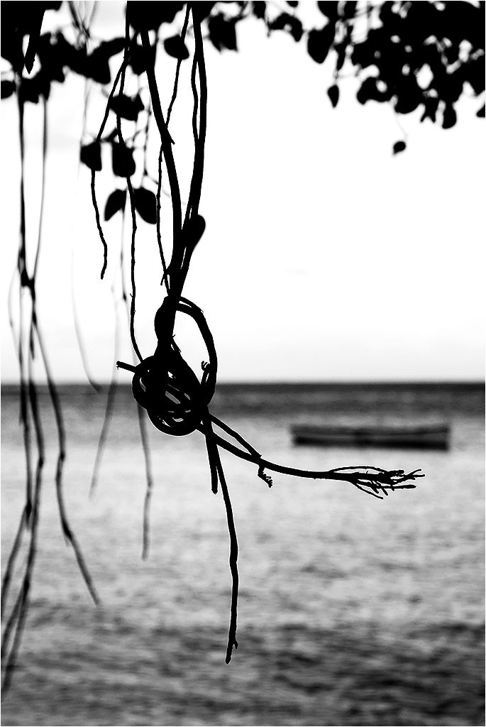 Rodrigues