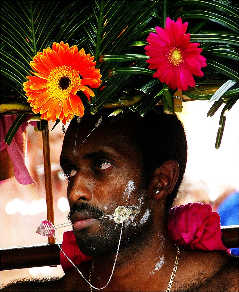 Kavadi 2015