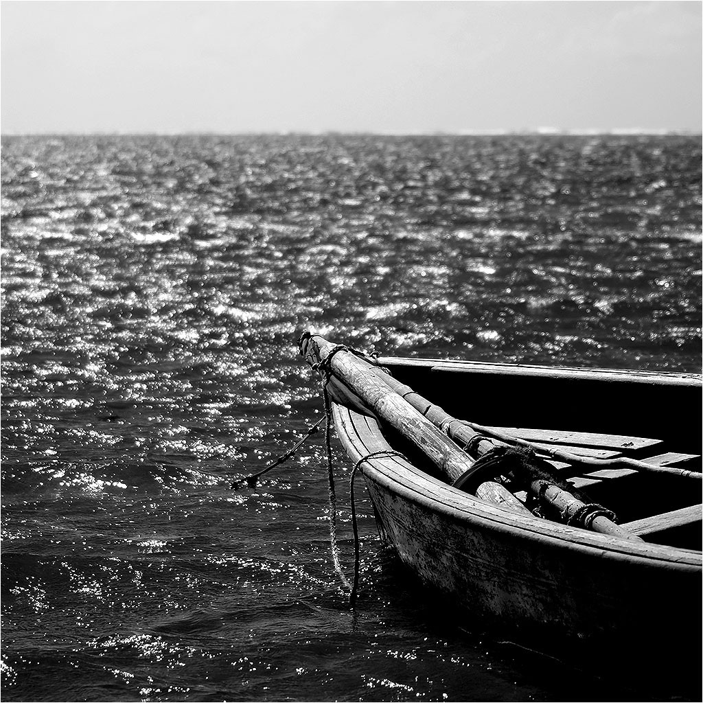 Rodrigues