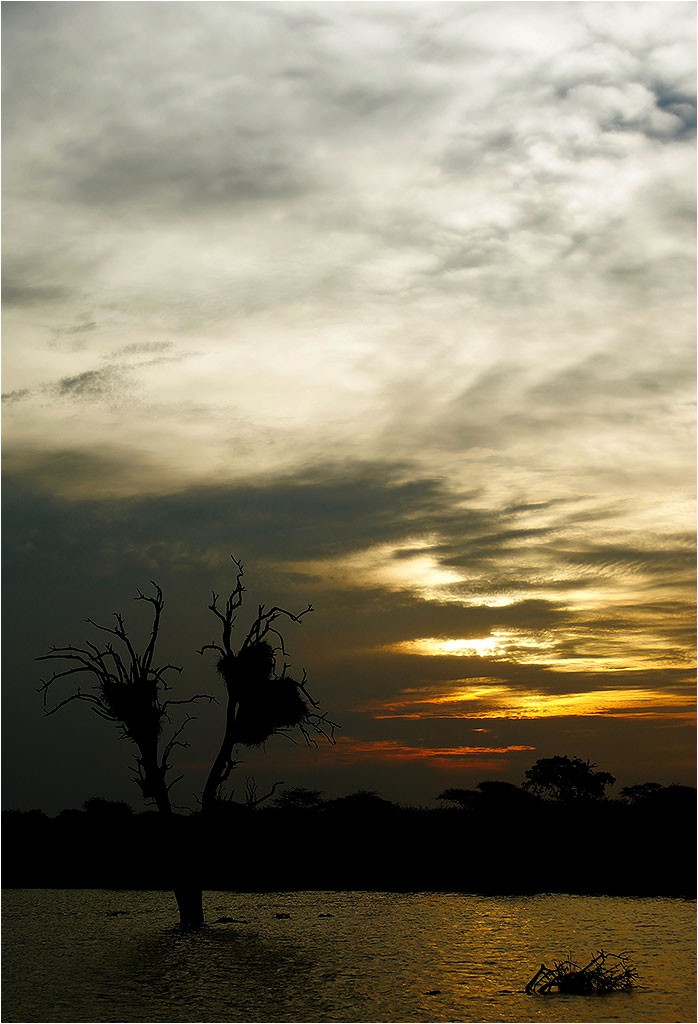 Afrique du Sud