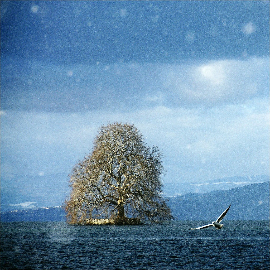 Suisse
