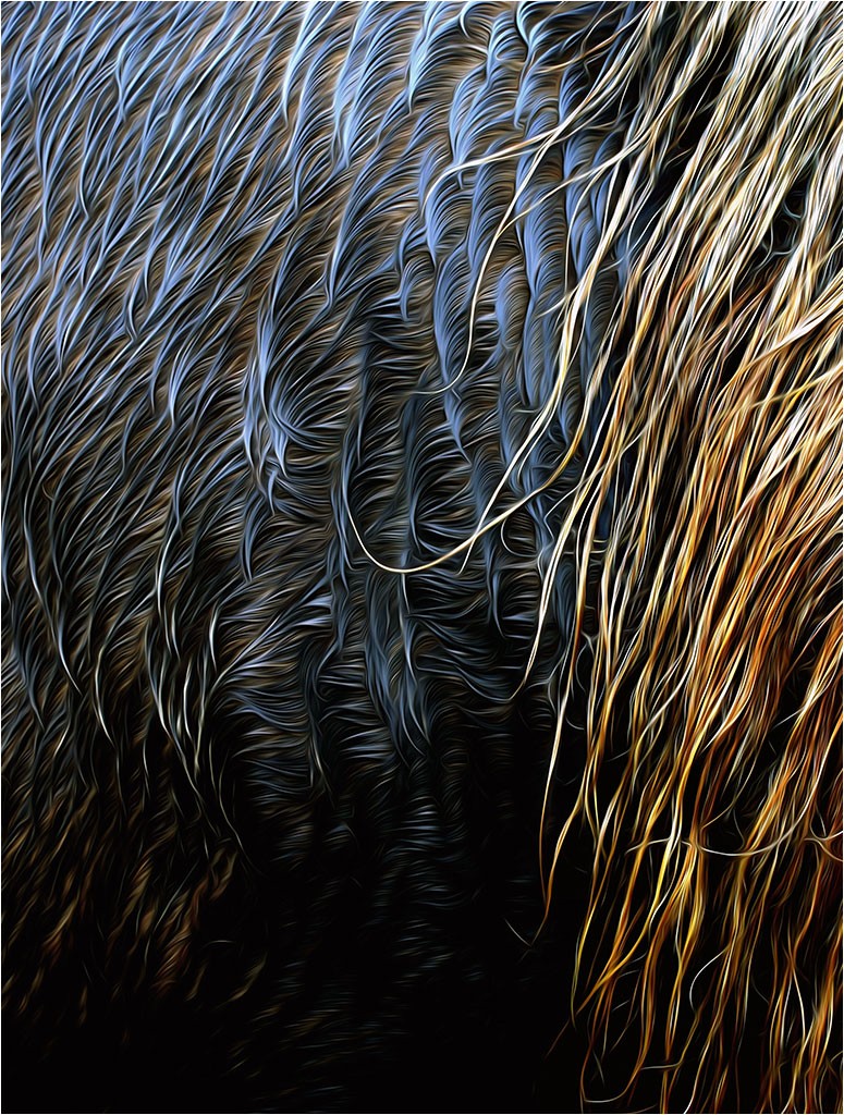 Faune