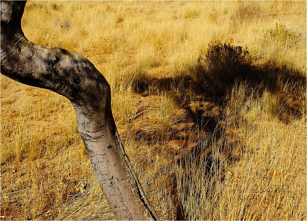 Namibie