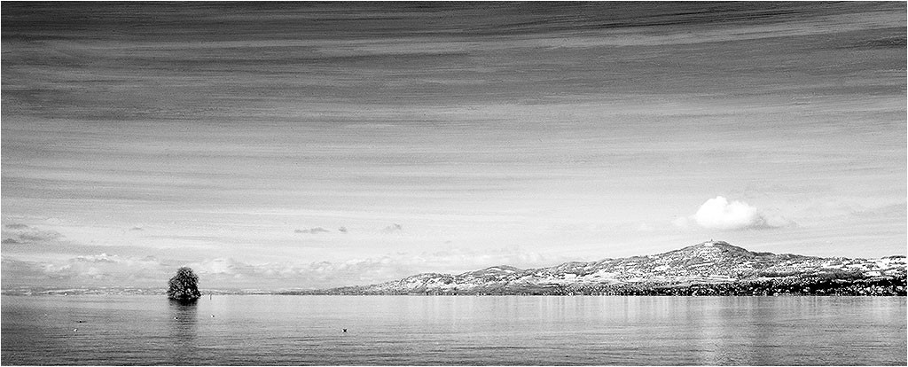 Suisse