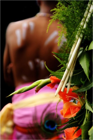 Kavadi 2012