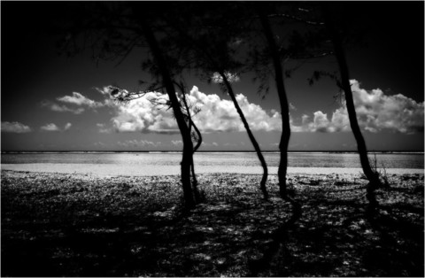 Rodrigues