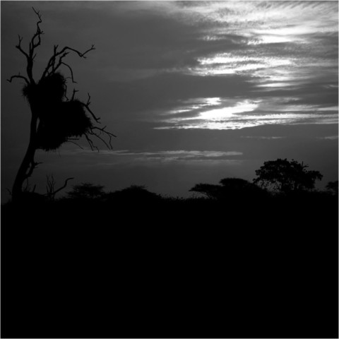 Afrique du Sud
