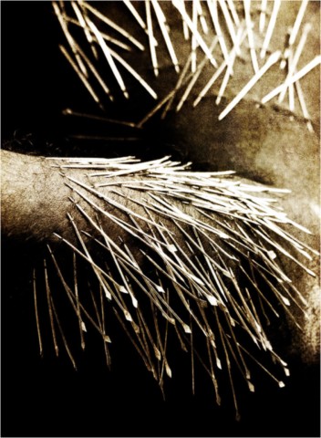 Exposition "Rituel"