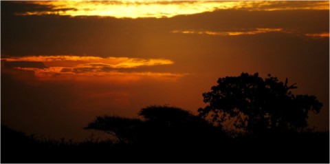 Afrique du Sud