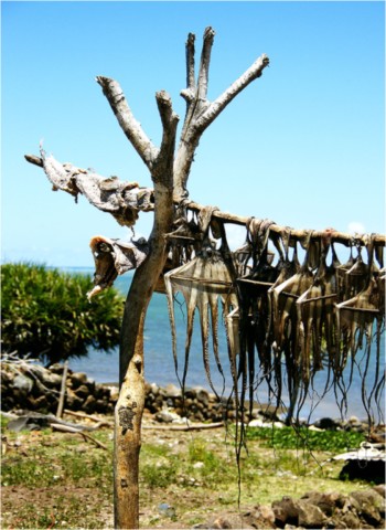 Rodrigues