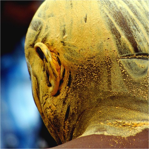 Kavadi 2014
