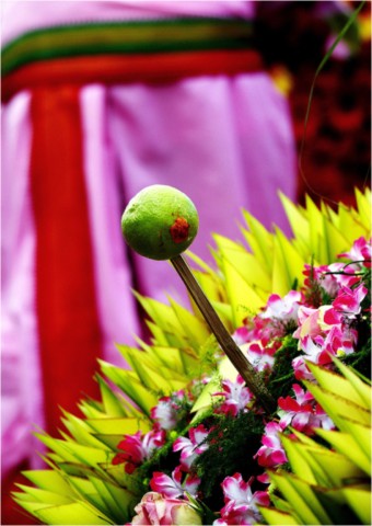 Kavadi 2012