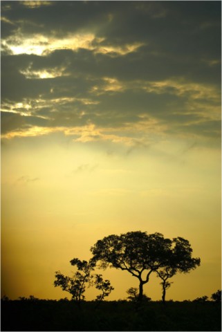 Afrique du Sud