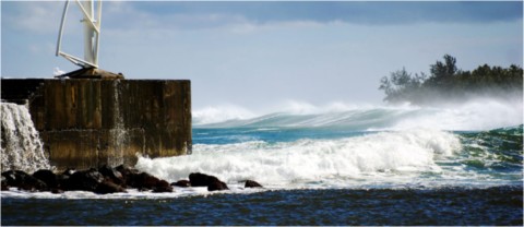 Oceanic