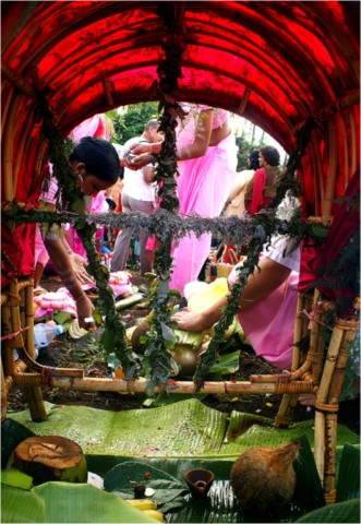 Kavadi 2011