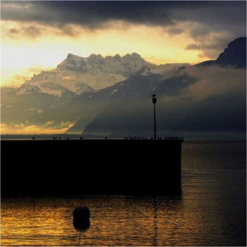 Suisse