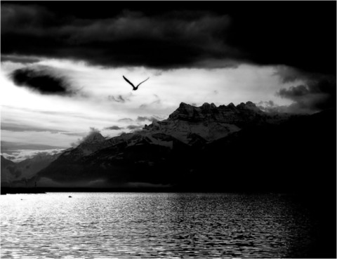 Suisse