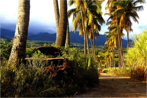 La Réunion