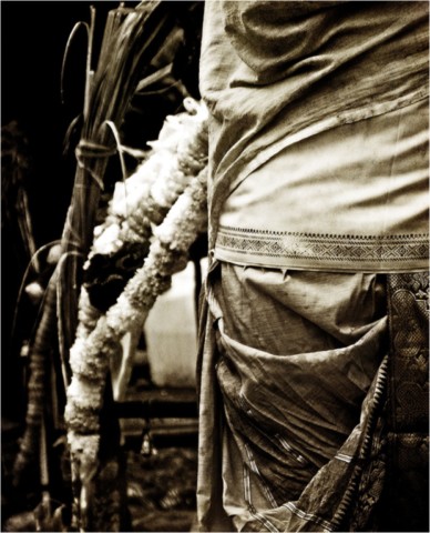 Kavadi 2011