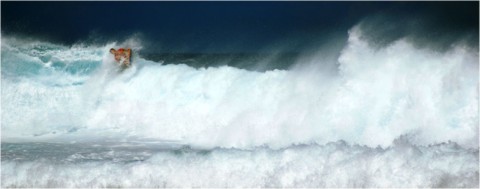 Bodyboard