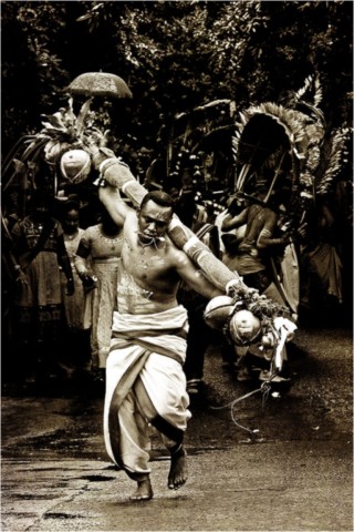 Kavadi 2014