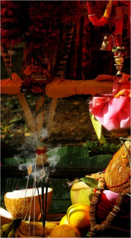 Kavadi 2011
