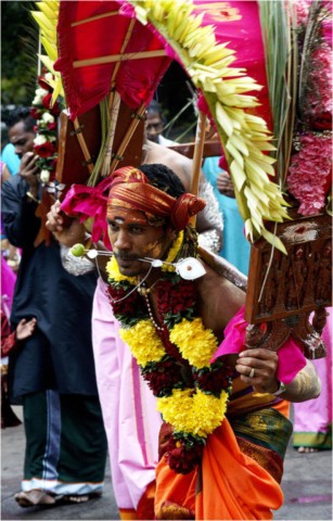Kavadi 2014