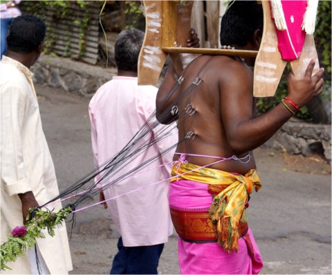 Kavadi 2013
