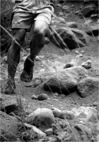 Trails