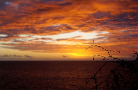 La Réunion