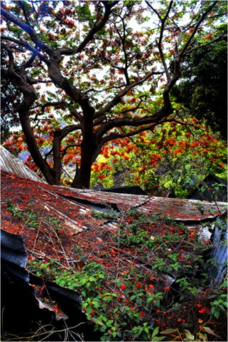 La Réunion