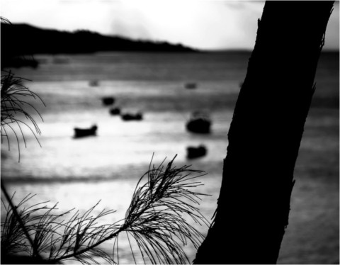 Rodrigues