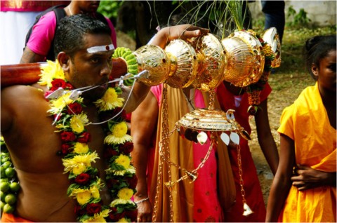 Kavadi 2016