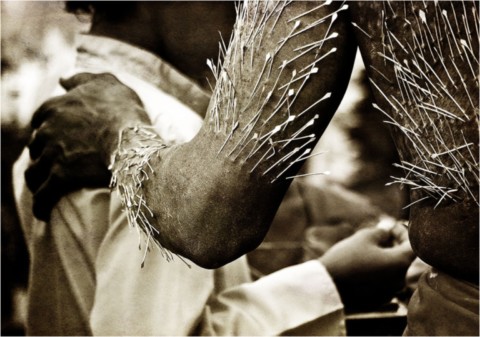 Kavadi 2013