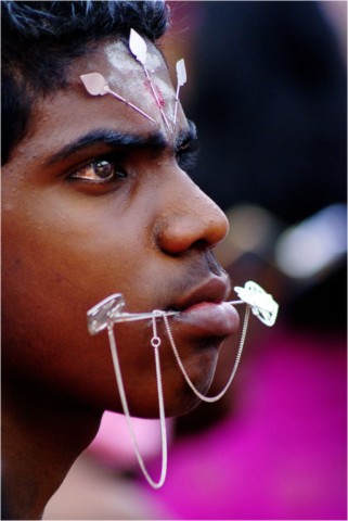 Kavadi 2012