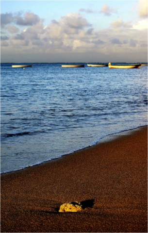 Rodrigues